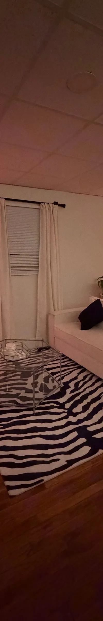 Entire 2 Bed 2 Bath Apartment in Boston (Fenway)