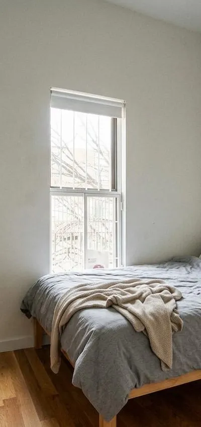 1 bedroom apartment in Bedford-Stuyvesant