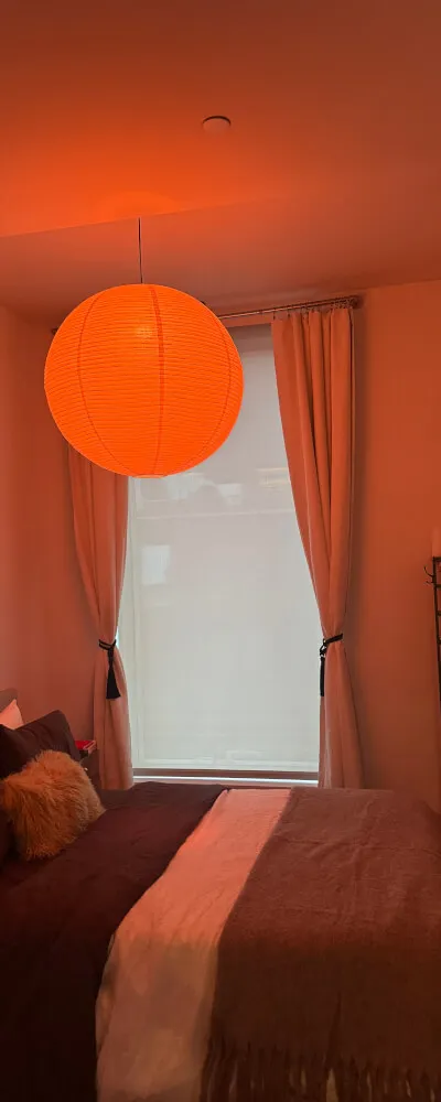 Studio apartment in Williamsburg