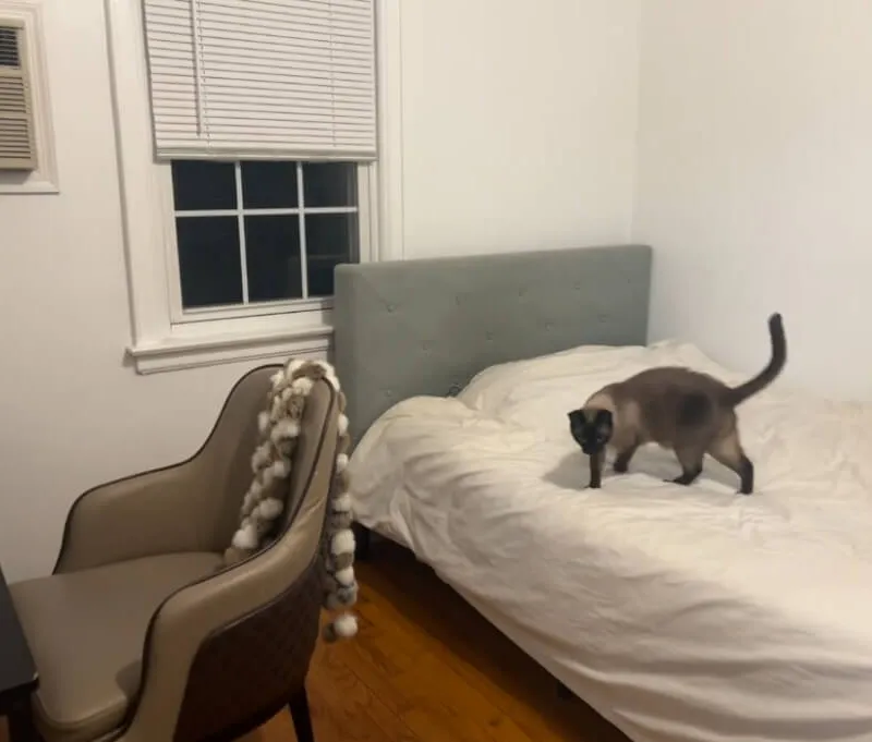 Private Bedroom in Whitestone | Near Flushing | House Share | No Broker Fee