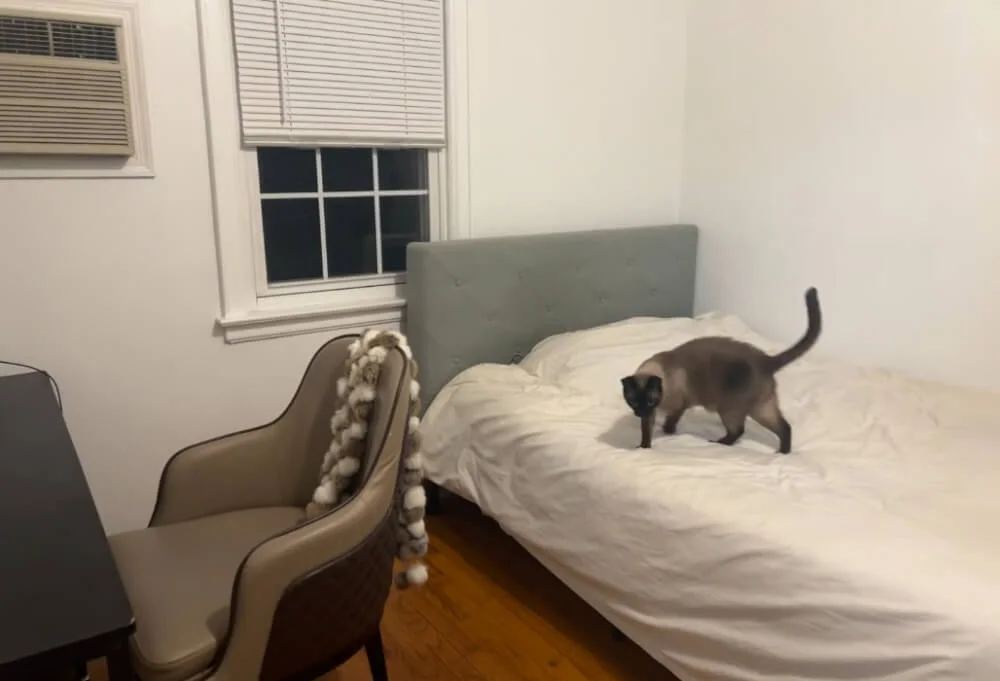Private Bedroom in Whitestone | Near Flushing | House Share | No Broker Fee