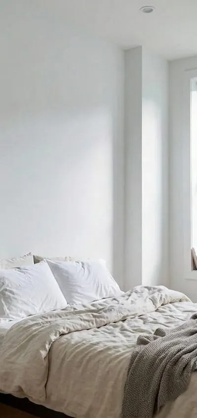 1 bedroom apartment in Crown Heights