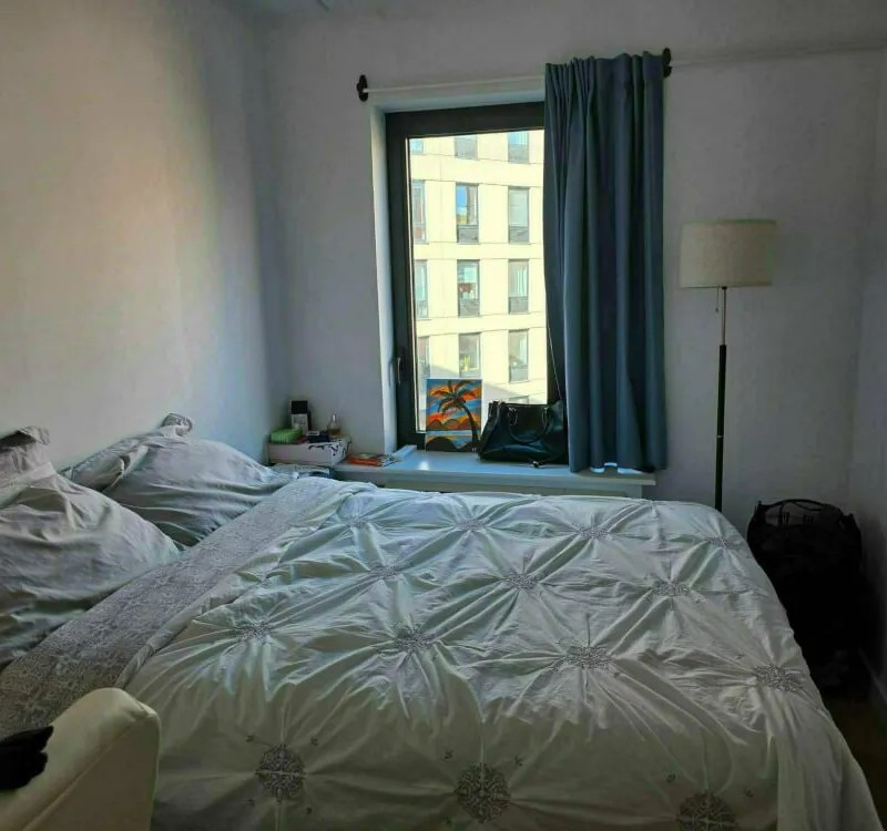 Light-filled room in Williamsburg!