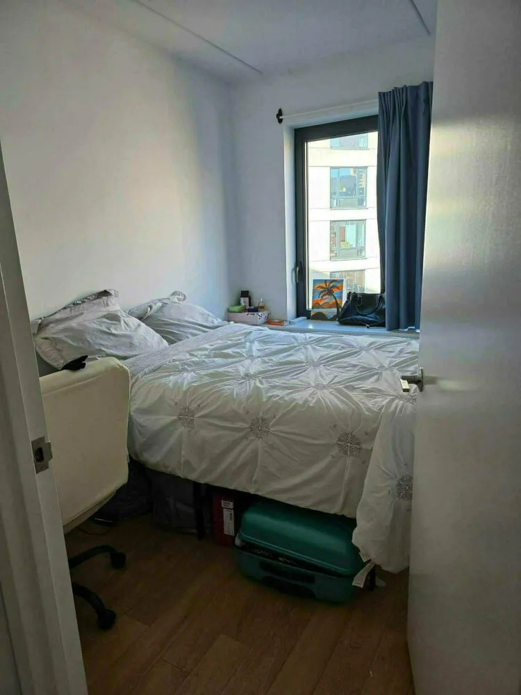 Light-filled room in Williamsburg!