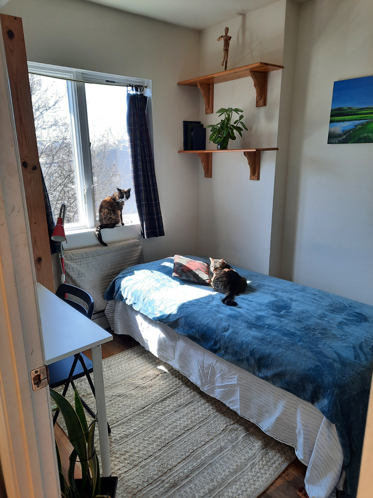 Sunny private furnished rooms in cozy, quiet modern NYC apartment with studious couple and their friendly cats - Bedroom 1