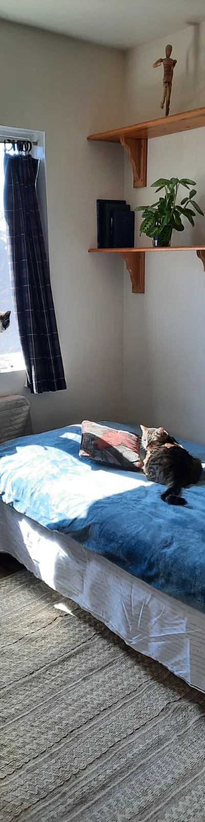 Sunny private furnished rooms in cozy, quiet modern NYC apartment with studious couple and their friendly cats - Bedroom 1