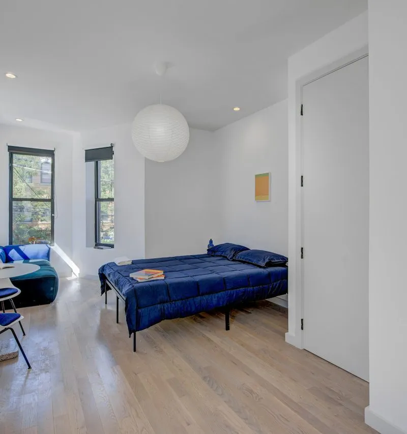 1 bedroom apartment in Ocean Hill