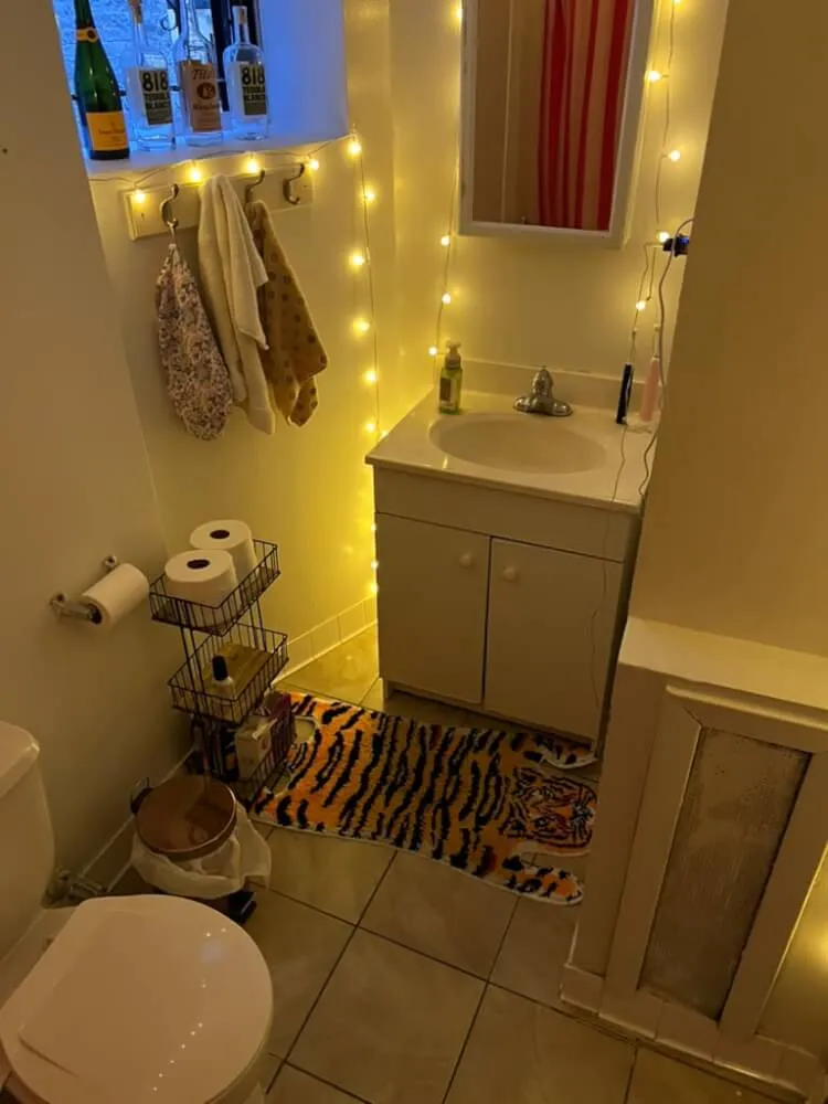 Bright Newly Furnished Room in East Village Apartment
