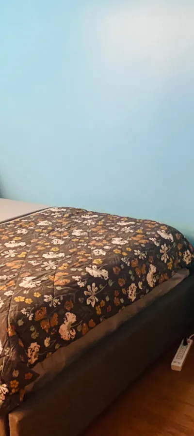 Cozy neat Queen size bedroom