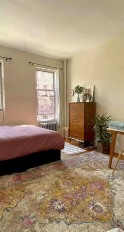 Beautiful entire One-Bedroom Apartment in Williamsburg