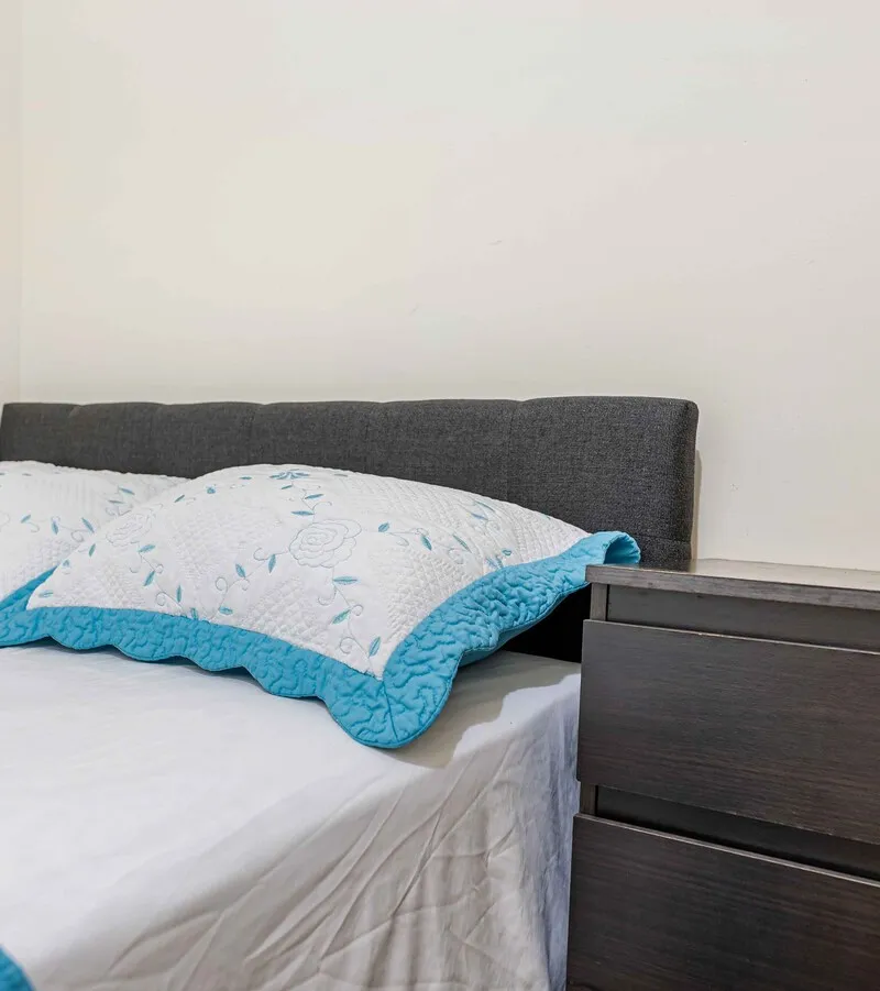 Stylish Private Room in Eastern Parkway